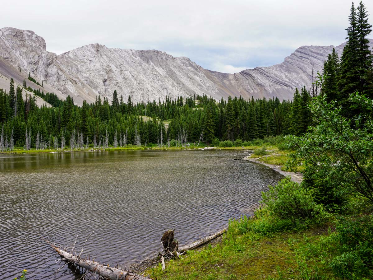 Beautiful trail of the Picklejar Lakes Hike in Kananaskis, near Canmore