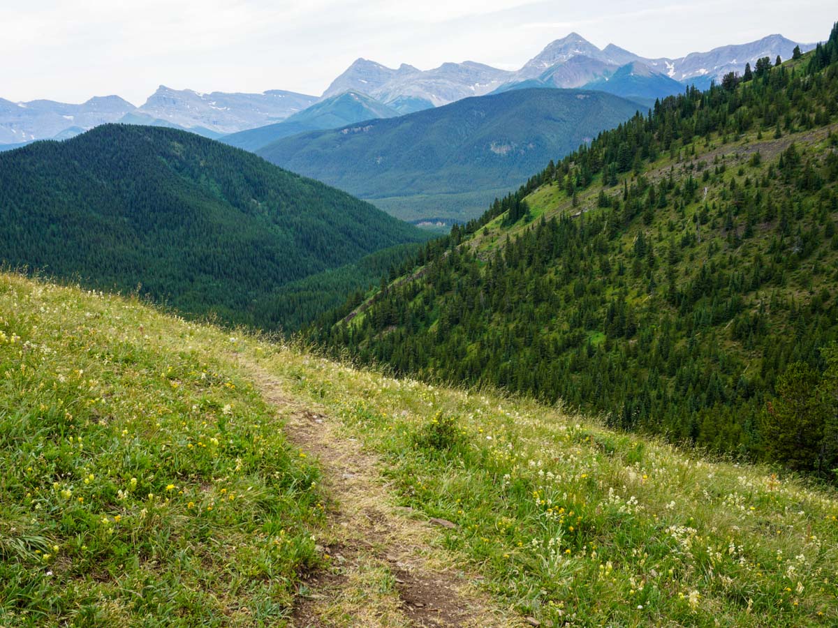 Walking on the Picklejar Lakes Hike in Kananaskis, near Canmore