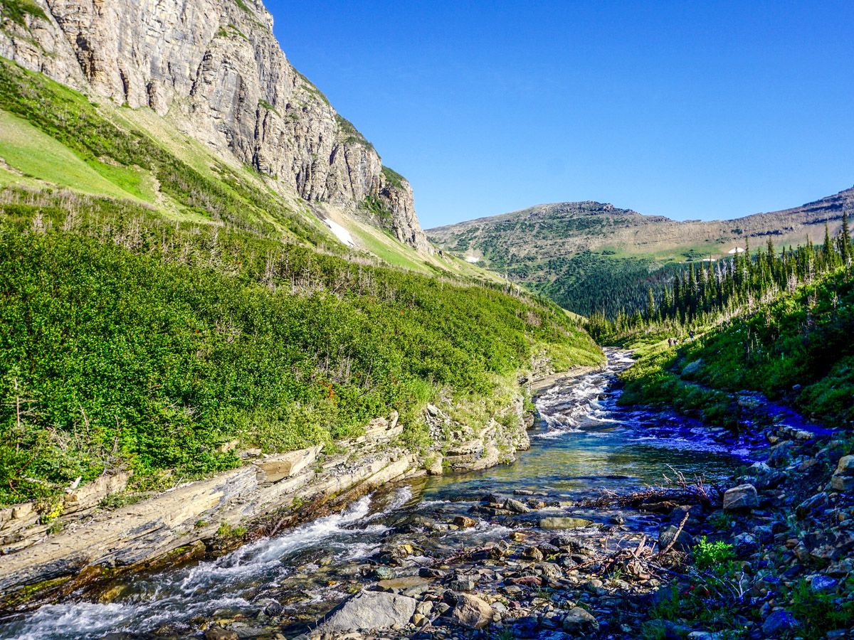 River at Piegan Pass Hike in Glacier National Park