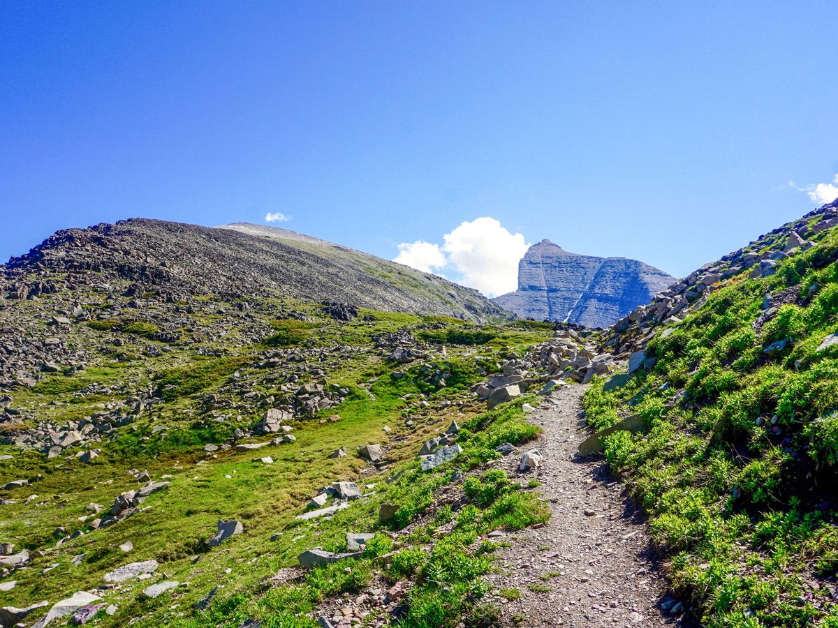 Trail of Piegan Pass Hike in Glacier National Park