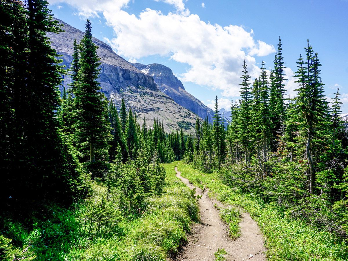 Piegan Pass Trail in Glacier National Park