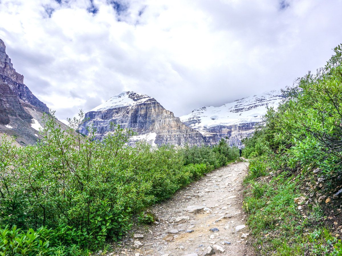 Trail of the Plain of the 6 Glaciers Hike near Lake Louise, Banff National Park, Alberta