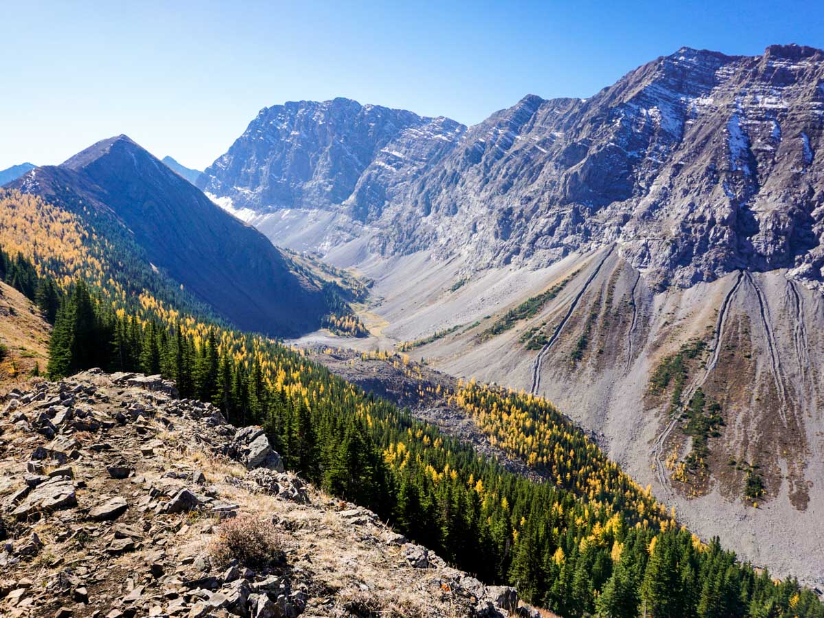 Panorama from the Pocaterra Ridge Hike in Kananaskis, near Canmore