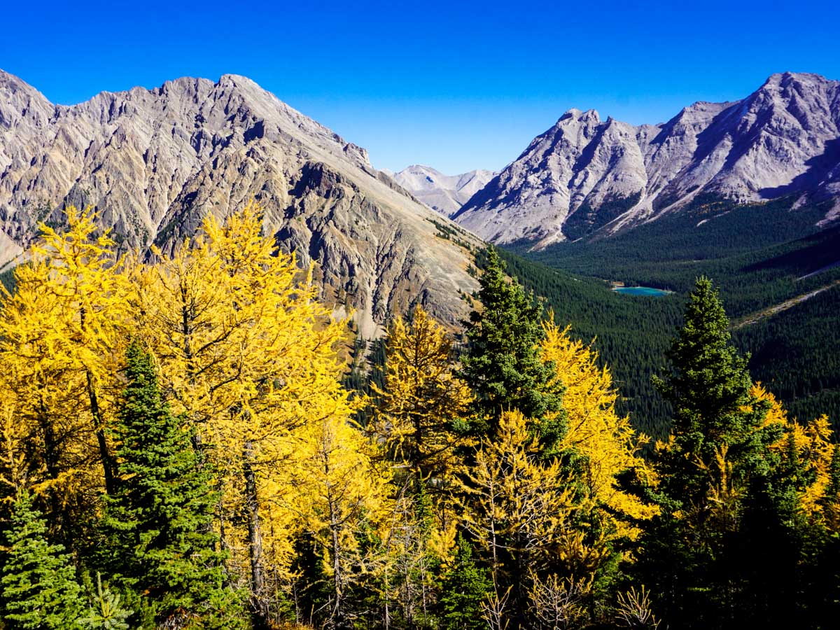 Elbow Lake from the Pocaterra Ridge Hike in Kananaskis, near Canmore