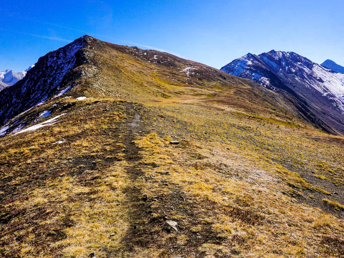 Trail views of the Pocaterra Ridge Hike in Kananaskis, near Canmore