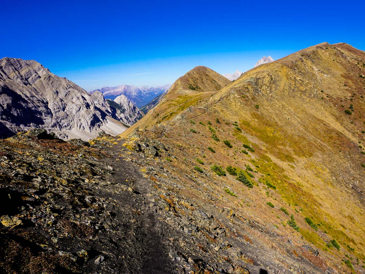 Looking along the ridge on the Pocaterra Ridge Hike in Kananaskis, near Canmore