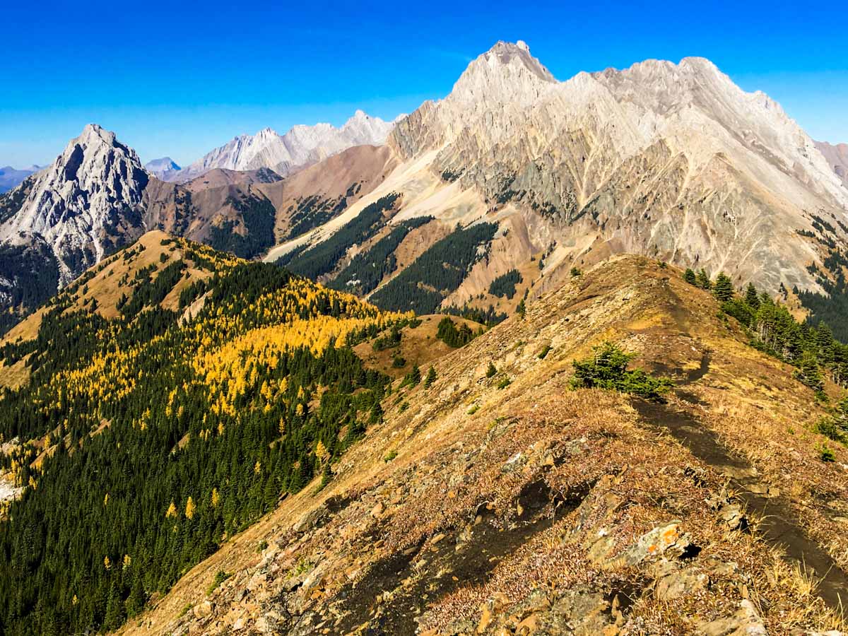 Stunning scenery from the Pocaterra Ridge Hike in Kananaskis, near Canmore