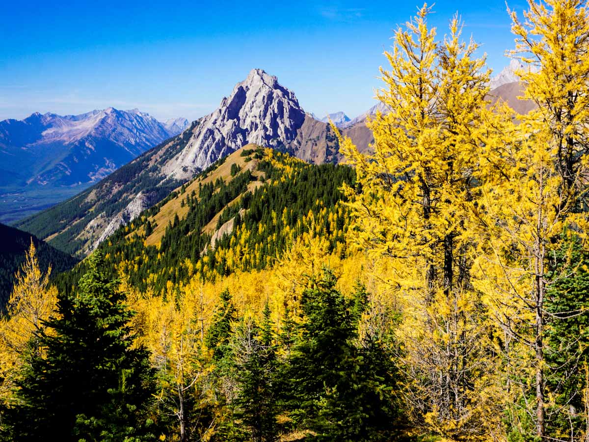 Great views from the Pocaterra Ridge Hike in Kananaskis, near Canmore