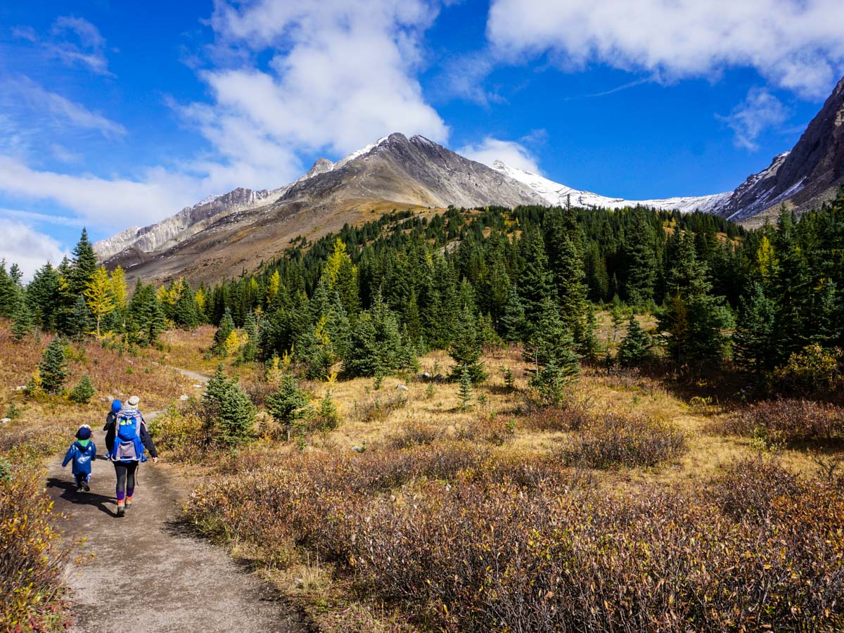 Walking through the highwood meadows on the Ptarmigan Cirque Hike in Kananaskis, near Canmore