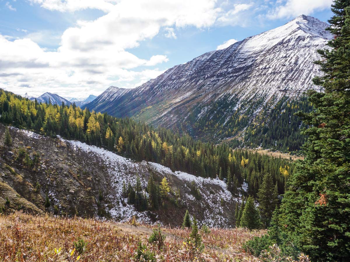 Autumn colors on the Ptarmigan Cirque Hike in Kananaskis, near Canmore