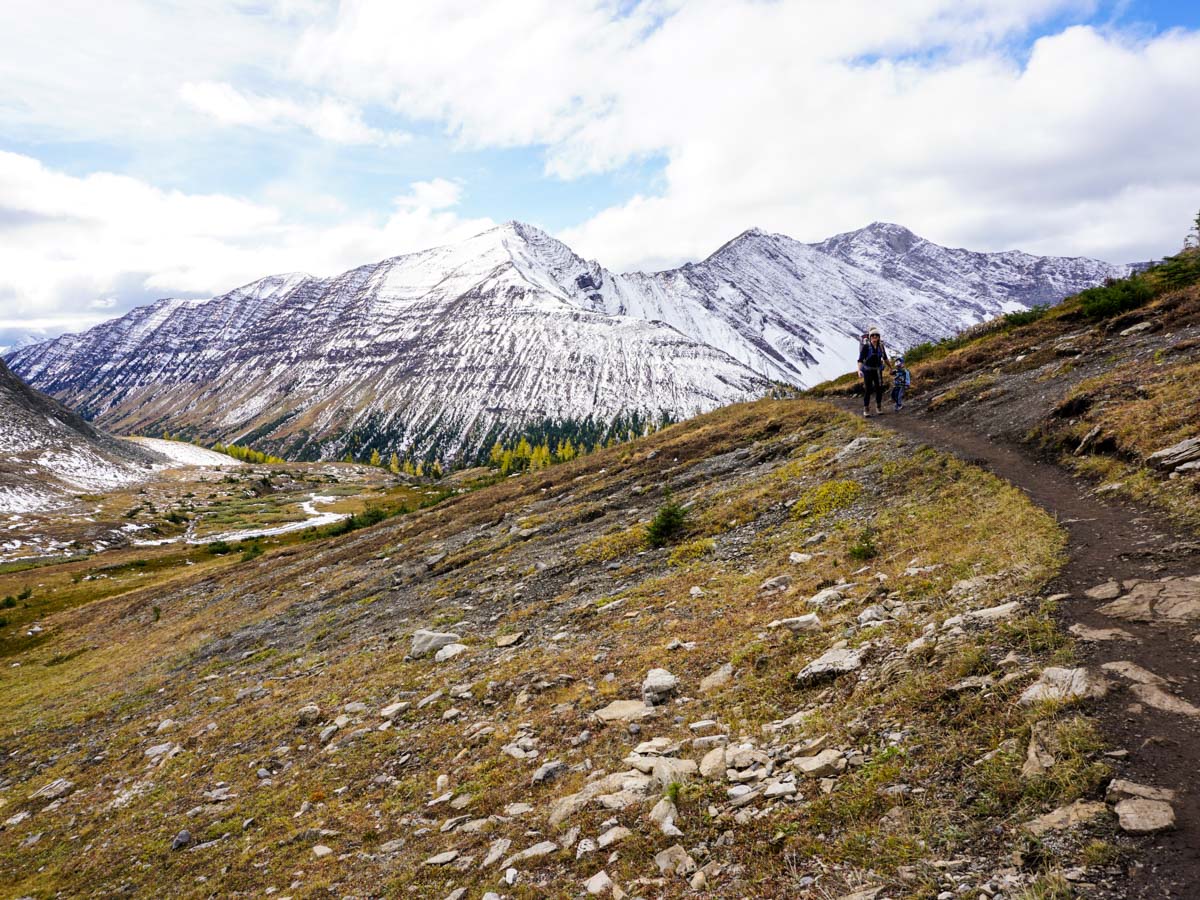 Family-friendly Ptarmigan Cirque Hike in Kananaskis, near Canmore