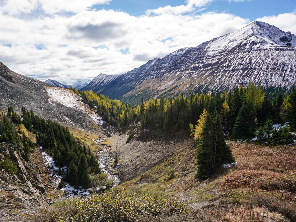 Trail down from the Ptarmigan Cirque Hike in Kananaskis, near Canmore