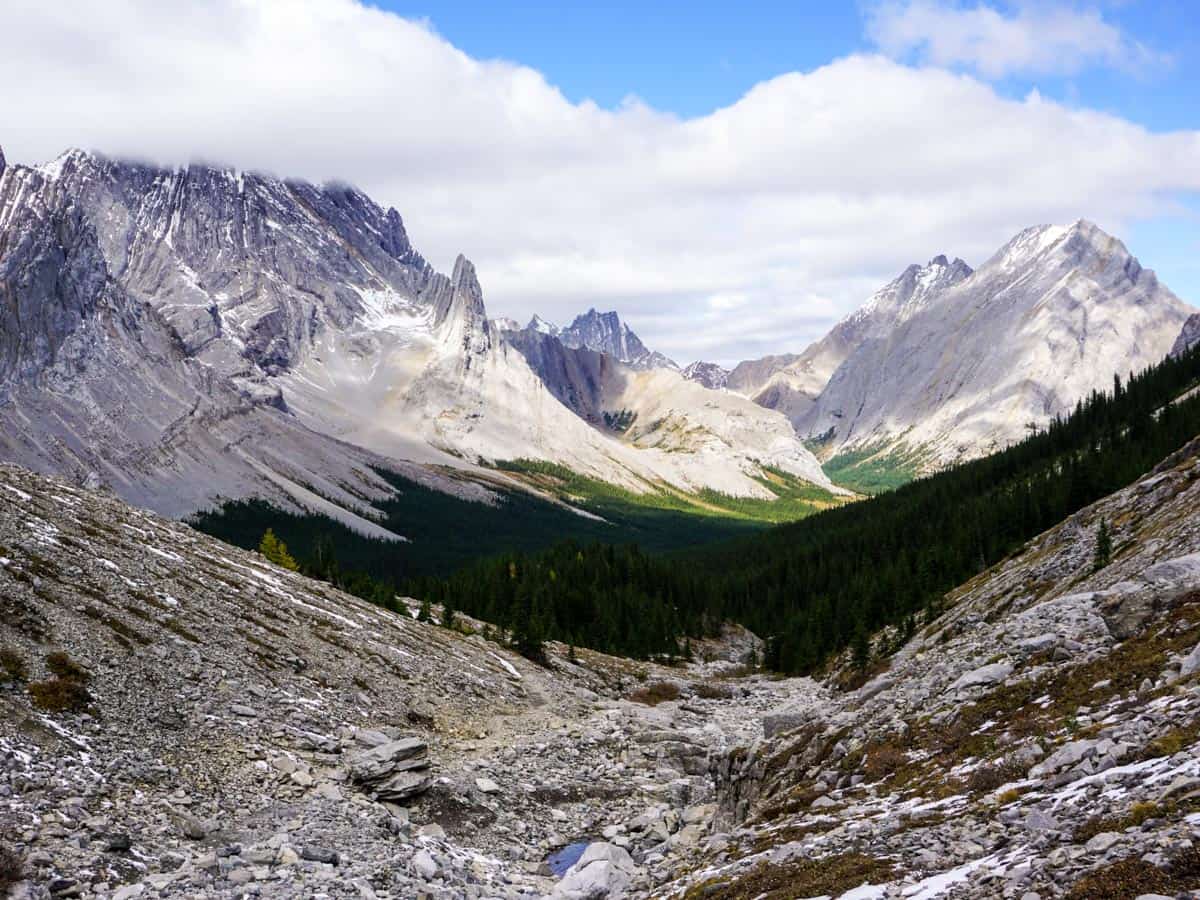 Views towards the Opal Range from the Rae Glacier Hike in Kananaskis, near Canmore