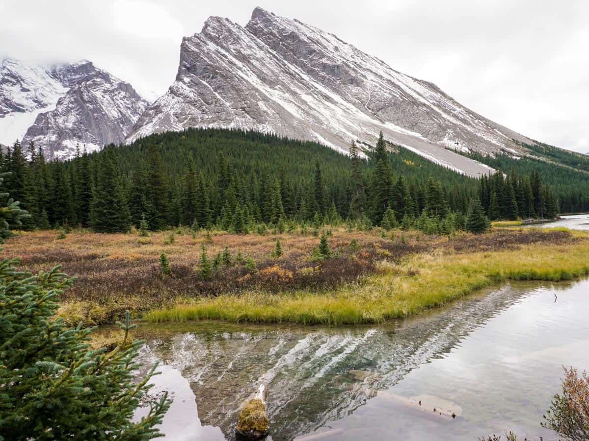 Reflections near Elbow Lake on the Rae Glacier Hike in Kananaskis, near Canmore