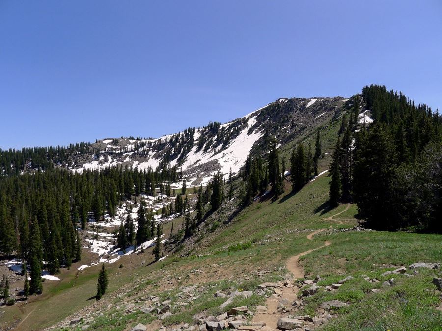 Hiking up the Clayton Peak is a must-do in Salt Lake City for adventure lovers