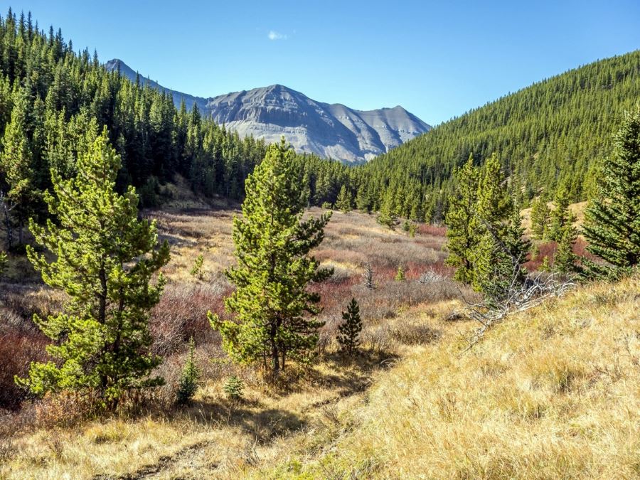 Views from the ForgetMeNot Ridge Hike near Bragg Creek, Calgary