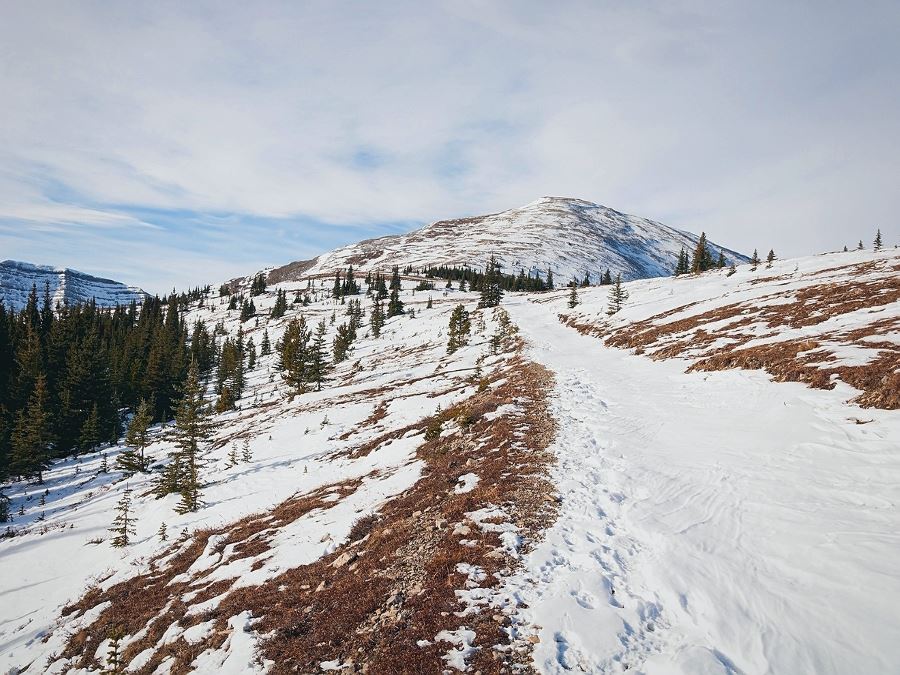 Approaching the peak of the Moose Mountain Hike from Bragg Creek, Kananaskis