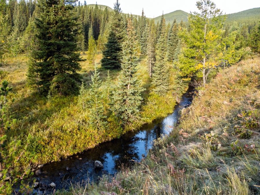 Creek on the Volcano Ridge Hike in Sheep River Provincial Park, Kananaskis