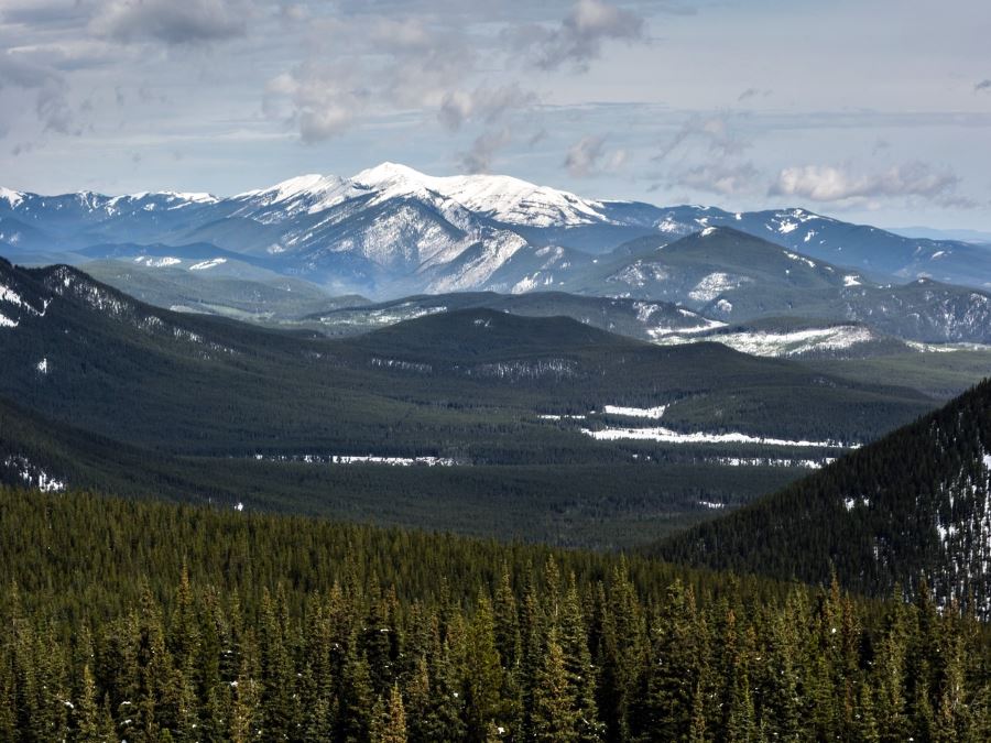 White mountains from the Volcano Ridge Hike in Sheep River Provincial Park, Kananaskis