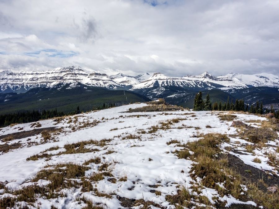 Mountain view from the Volcano Ridge Hike in Sheep River Provincial Park, Kananaskis