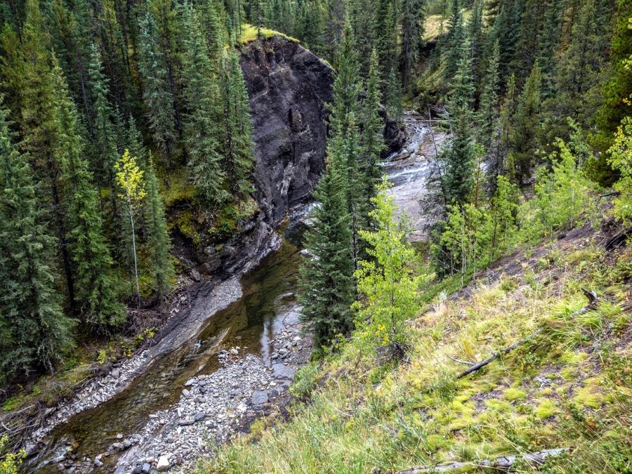 Beautiful creek on the Volcano Ridge Hike in Sheep River Provincial Park, Kananaskis