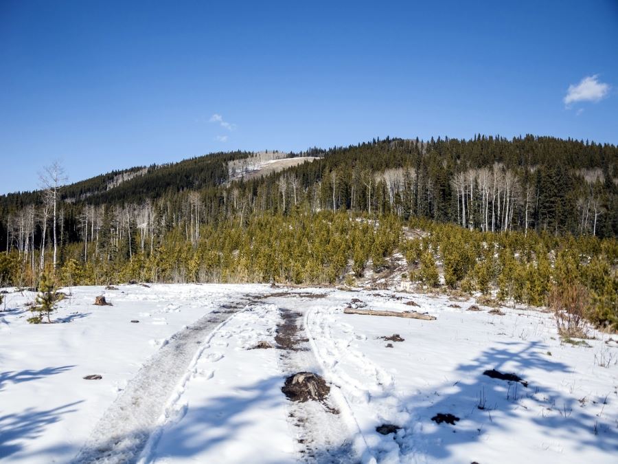 Trail on the snow of the Mesa Butte hike from Bragg Creek, Kananaskis