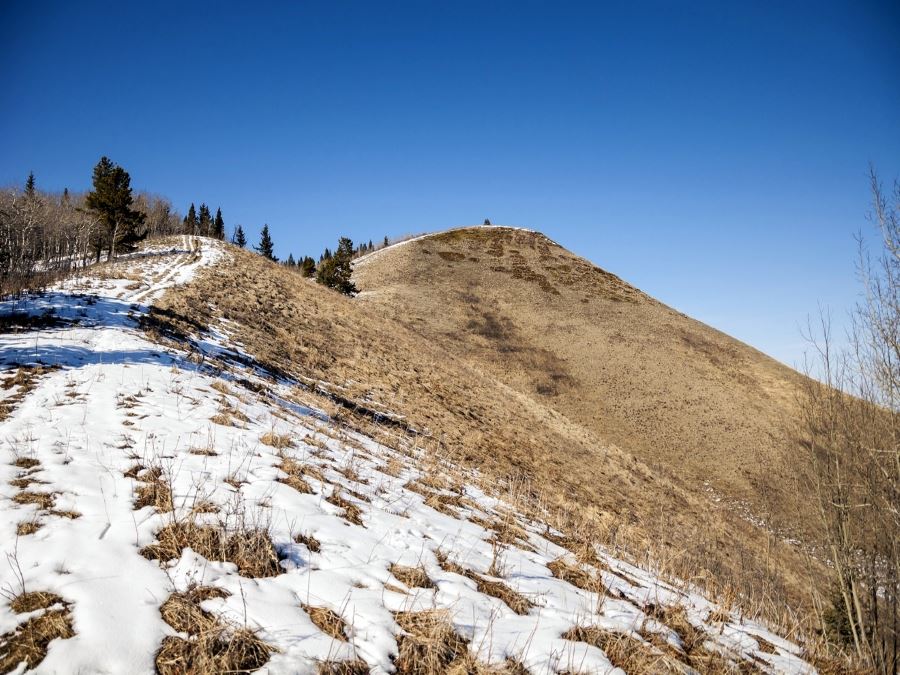 Trail upon the Mesa Butte hike from Bragg Creek, Kananaskis