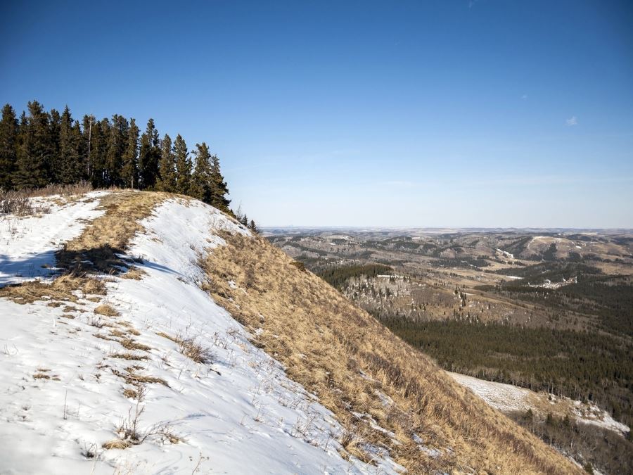 Trail of the Mesa Butte hike from Bragg Creek has beautiful views