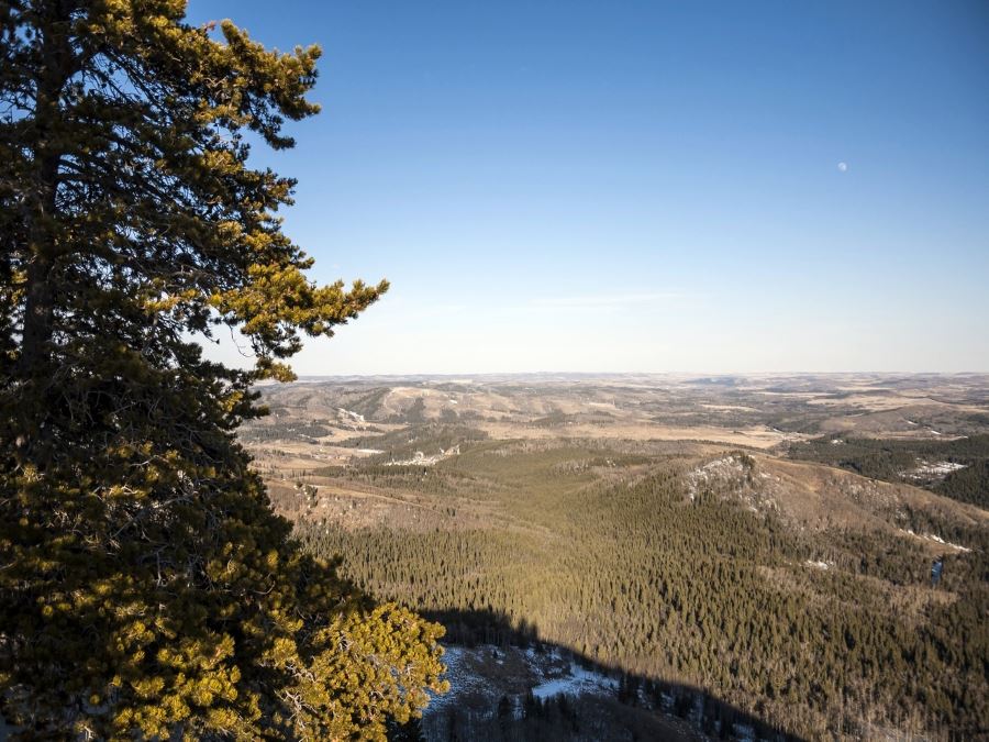 Trail of the Mesa Butte hike in Bragg Creek has great scenery