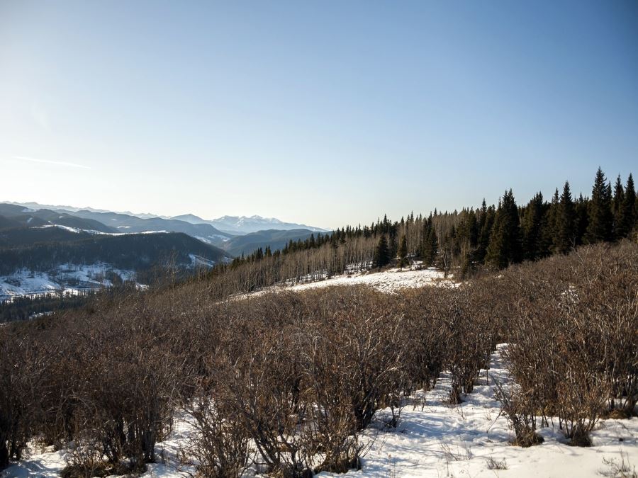 Great views from the Mesa Butte hike from Bragg Creek, Kananaskis