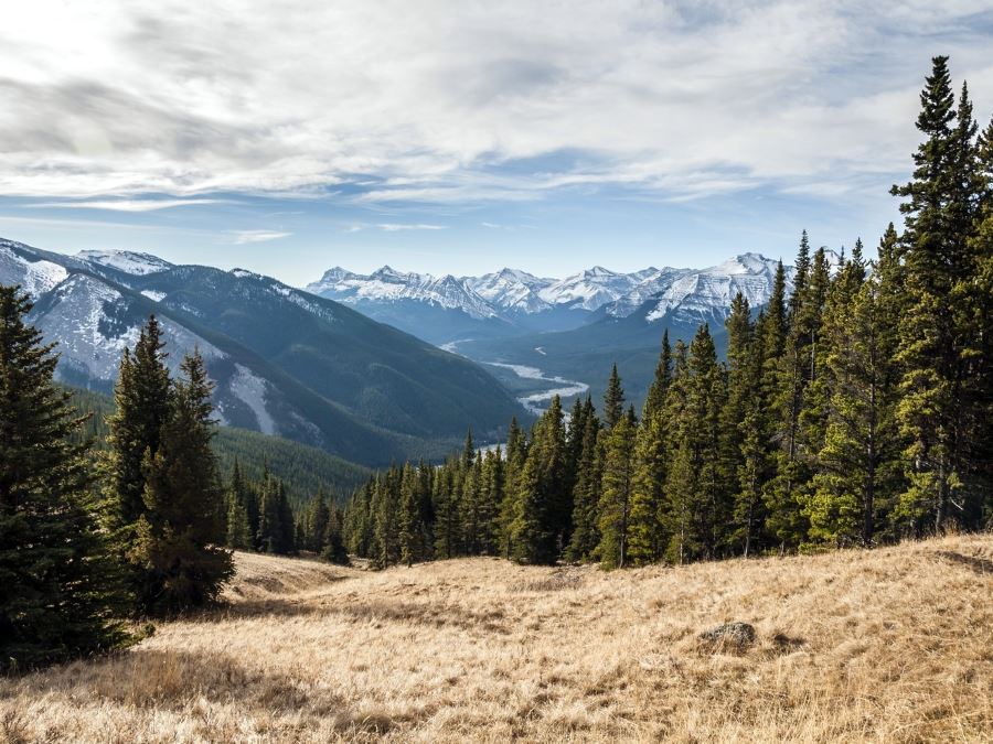 View of the valley on the Powderface Ridge Hike near Bragg Creek, Kananaskis