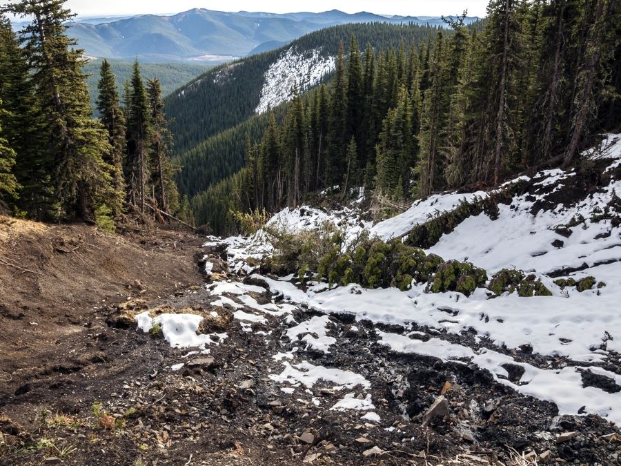 Views from the Powderface Ridge Hike near Bragg Creek, Kananaskis