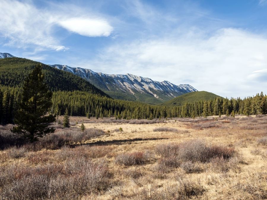 Beautiful views on the Powderface Ridge Hike near Bragg Creek, Kananaskis