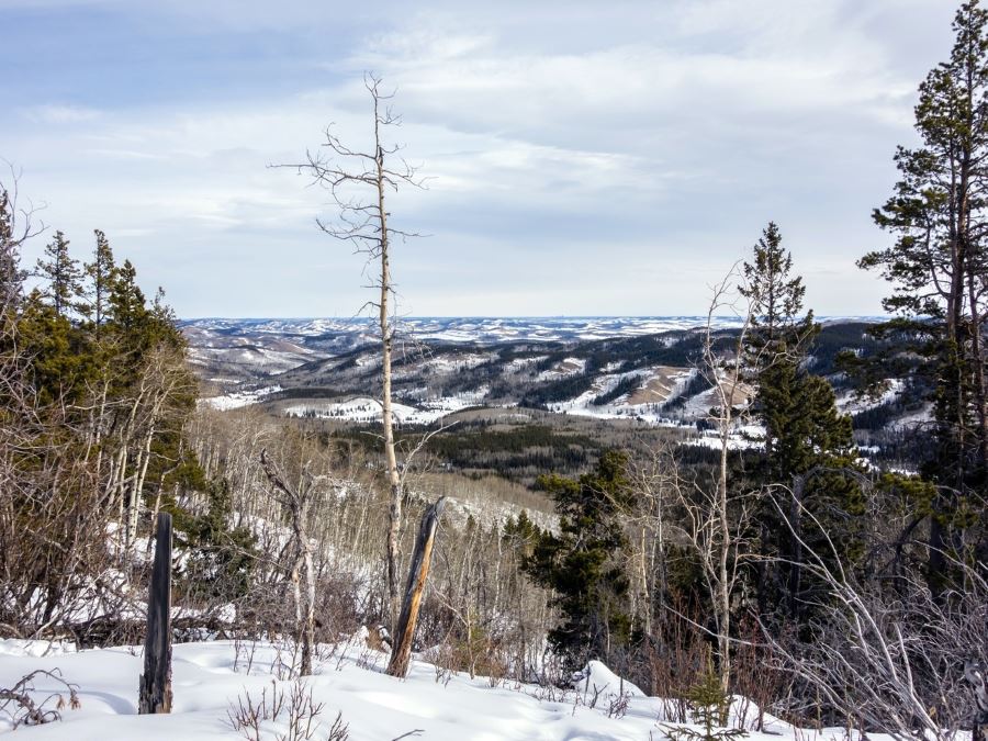 Panorama from the Foran Grade and Windy Point Hike in Sheep River Provincial Park, Kananaskis