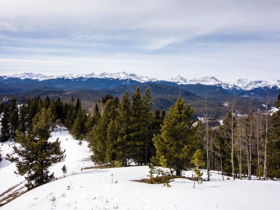 Forest and mountains on the Foran Grade and Windy Point Hike in Sheep River Provincial Park, Kananaskis