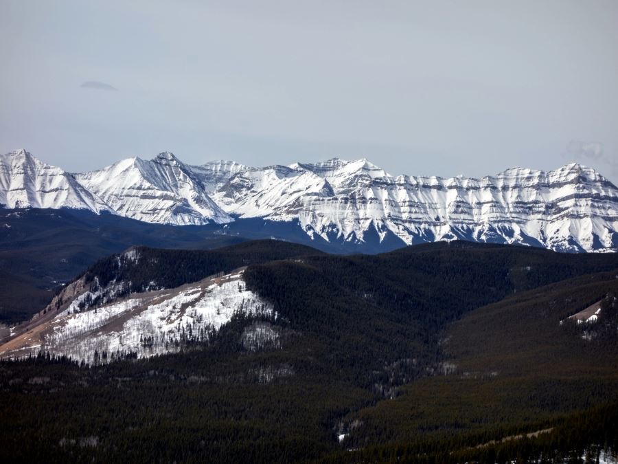 White mountains from the Foran Grade and Windy Point Hike in Sheep River Provincial Park, Kananaskis