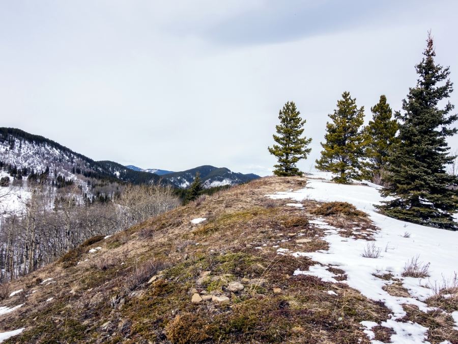 Beautiful hill on the Foran Grade and Windy Point Hike in Sheep River Provincial Park, Kananaskis