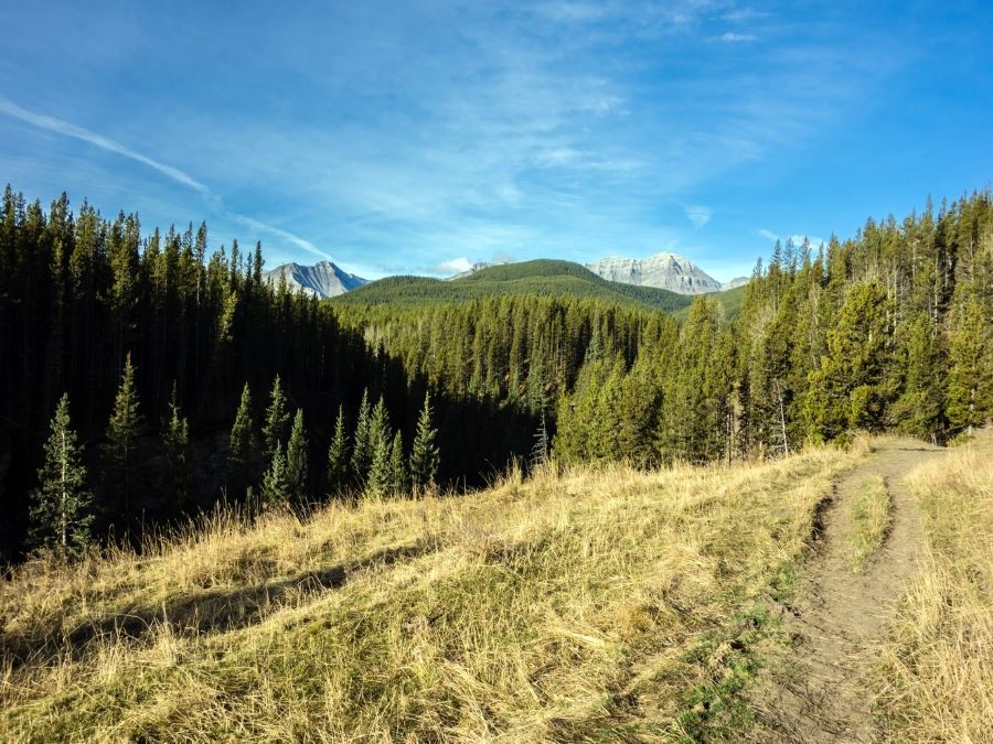 Mount Ware Hike in Sheep River Provincial Park near Calgary