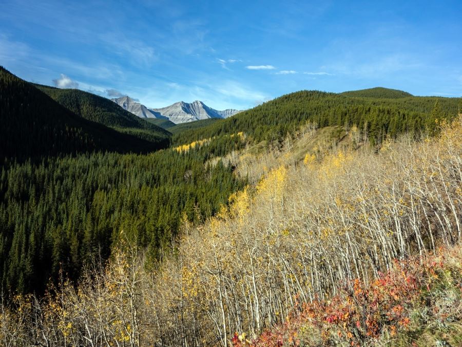 Hills and peaks on the Mount Ware Hike in Sheep River Provincial Park, Kananaskis