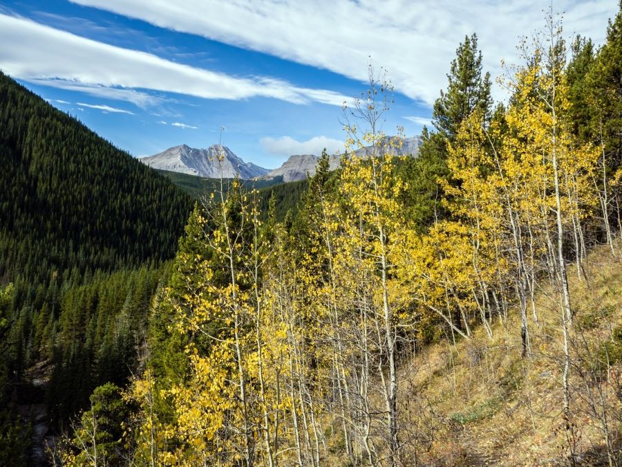 Peaks in the distance on the Mount Ware Hike in Sheep River Provincial Park, Kananaskis