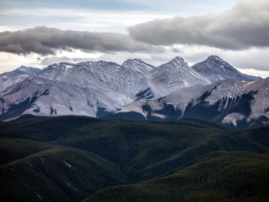 Mountains and forests from the Mount Ware Hike in Sheep River Provincial Park, Kananaskis