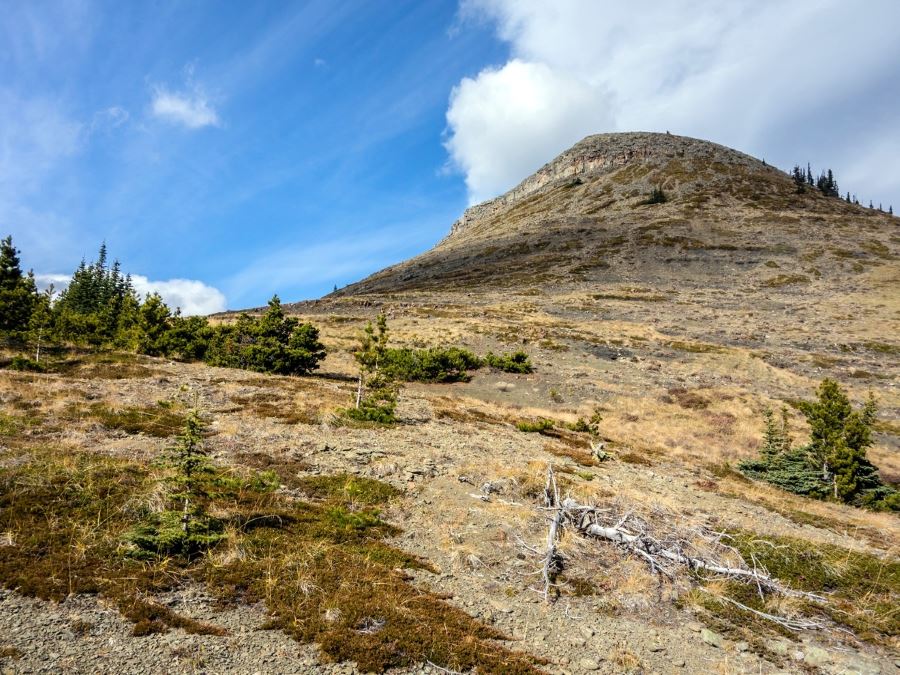 Approaching the summit on the Mount Ware Hike in Sheep River Provincial Park, Kananaskis