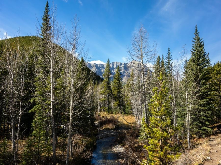 River on the Mount Ware Hike in Sheep River Provincial Park, Kananaskis