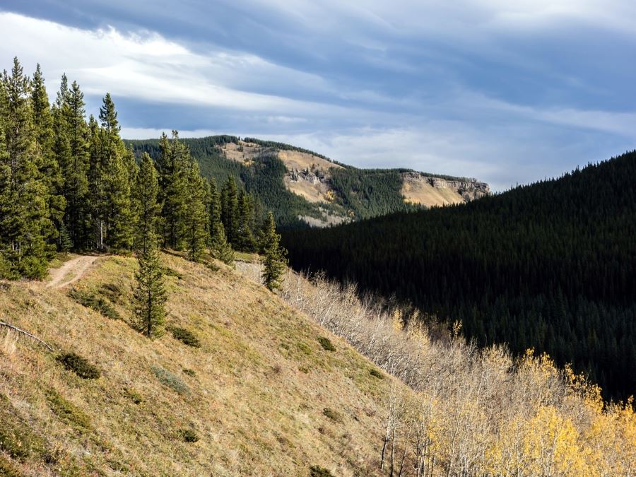 Mount Ware Hike in Sheep River Provincial Park, Alberta