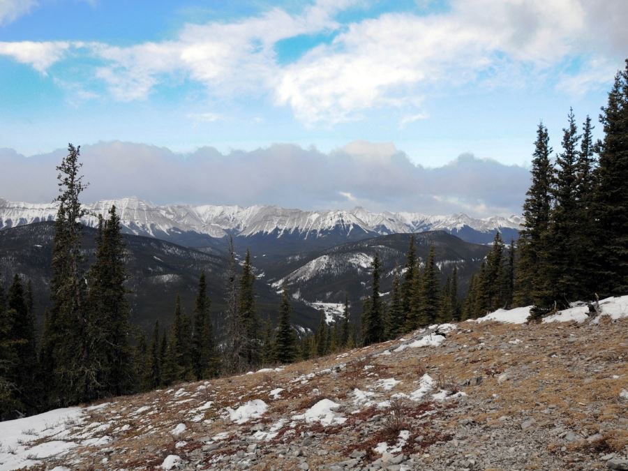 Panorama from the Prairie Mountain Hike from Bragg Creek, Kananaskis