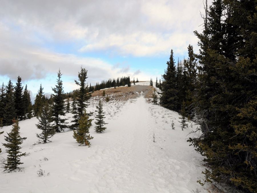 Trail going up on the Prairie Mountain Hike from Bragg Creek, Kananaskis