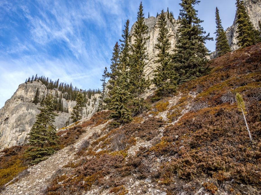 Beautiful views around the Canyon Creek Ice Caves Hike from Bragg Creek, Kananaskis