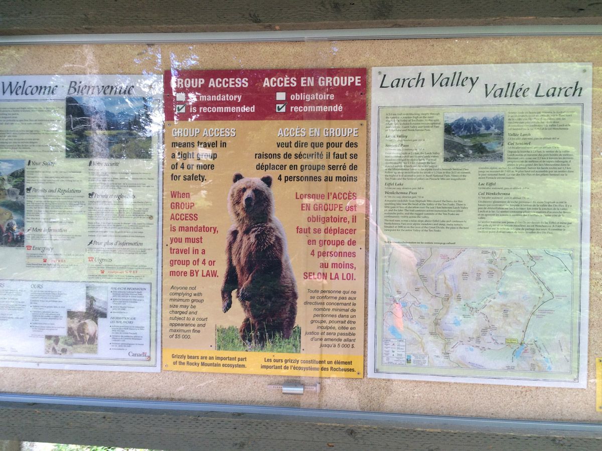 Info board on the Sentinel Pass Hike in Lake Louise, Banff National Park