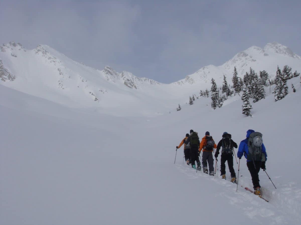 Ski Touring in Rogers Pass