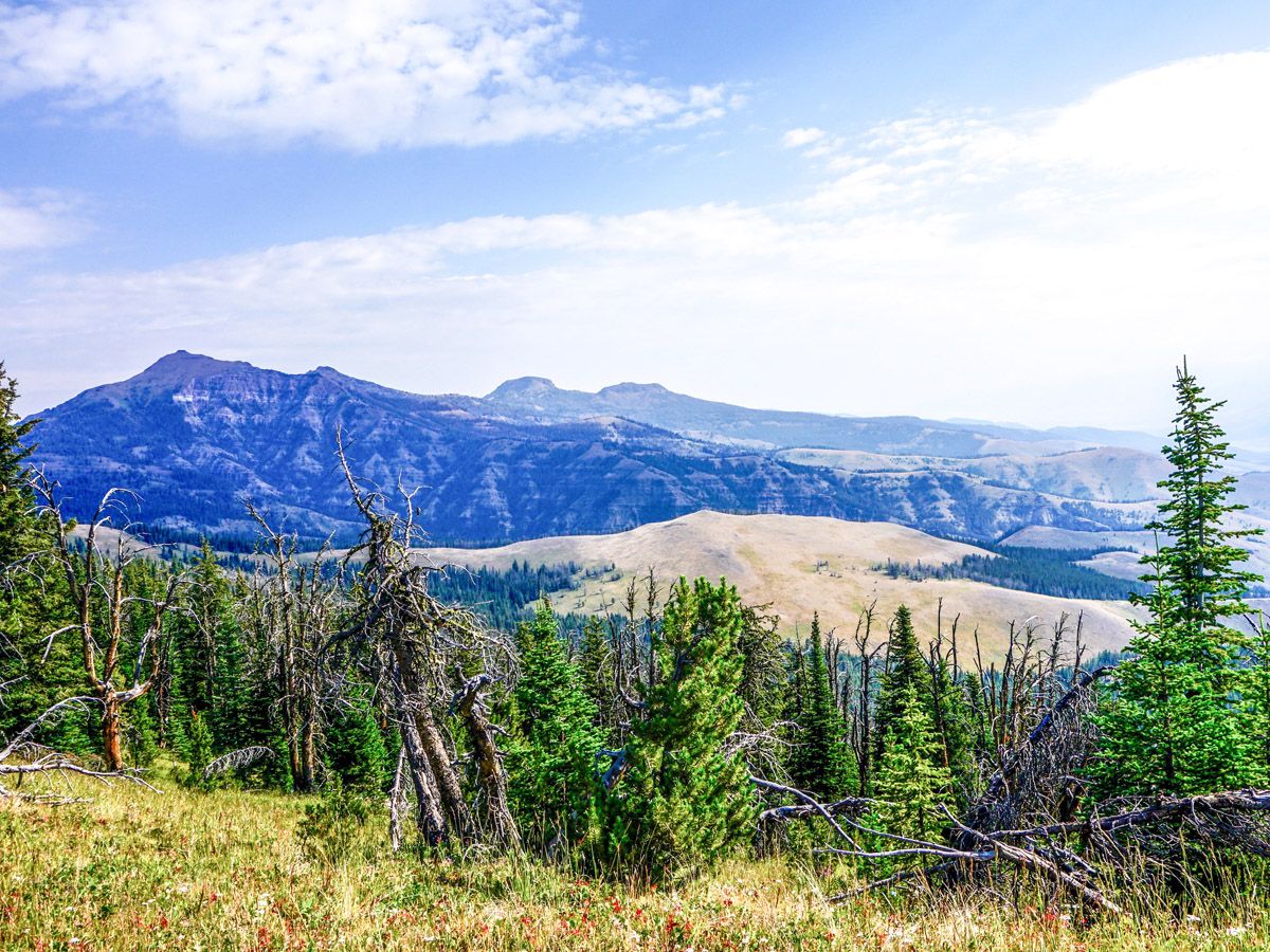 Hiking the Sky Rim trail in Yellowstone National Park rewards with amazing views